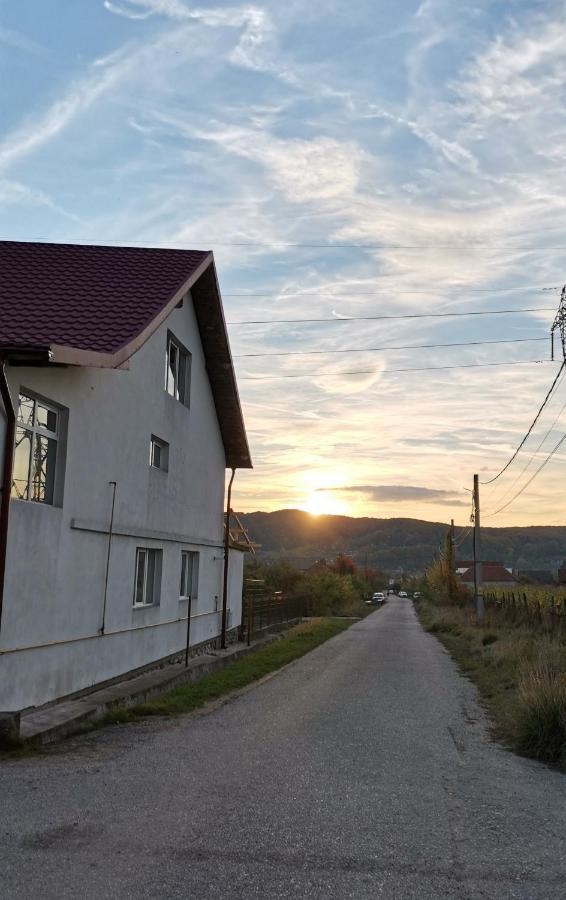 Casa Kotys Albestii Paminteni Exterior foto